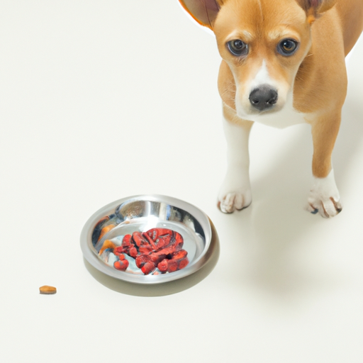 3. תמונה של כלב עם צורך תזונתי מיוחד, כמו עודף משקל או מצב רפואי